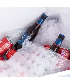 Grand Fusion Housewares Grand Fusion Ice Cubes Cooler Packs Keep Drinks Food Cold With Funnel 30 Packs (720 Cubes) -Paco Home Elegant Store Belk 1535