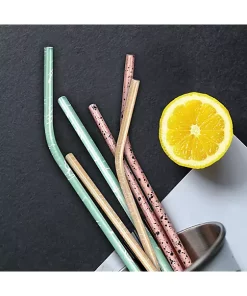 Grand Fusion Housewares Grand Fusion Painted Metallic Stainless Steel Straws with Brush,6 Straws & 2 Brushes -Paco Home Elegant Store Belk 1827