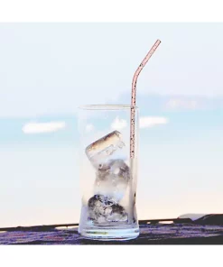 Grand Fusion Housewares Grand Fusion Painted Metallic Stainless Steel Straws with Brush,6 Straws & 2 Brushes -Paco Home Elegant Store Belk 1829