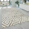 Paco Home Modern Low-Pile Rug Geometric Moroccan Design in Pastel Colors - 3'11" x 5'7" -Paco Home Elegant Store Belk 460
